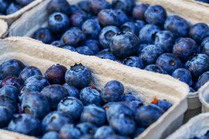 Blueberry and its Big Health Benefits